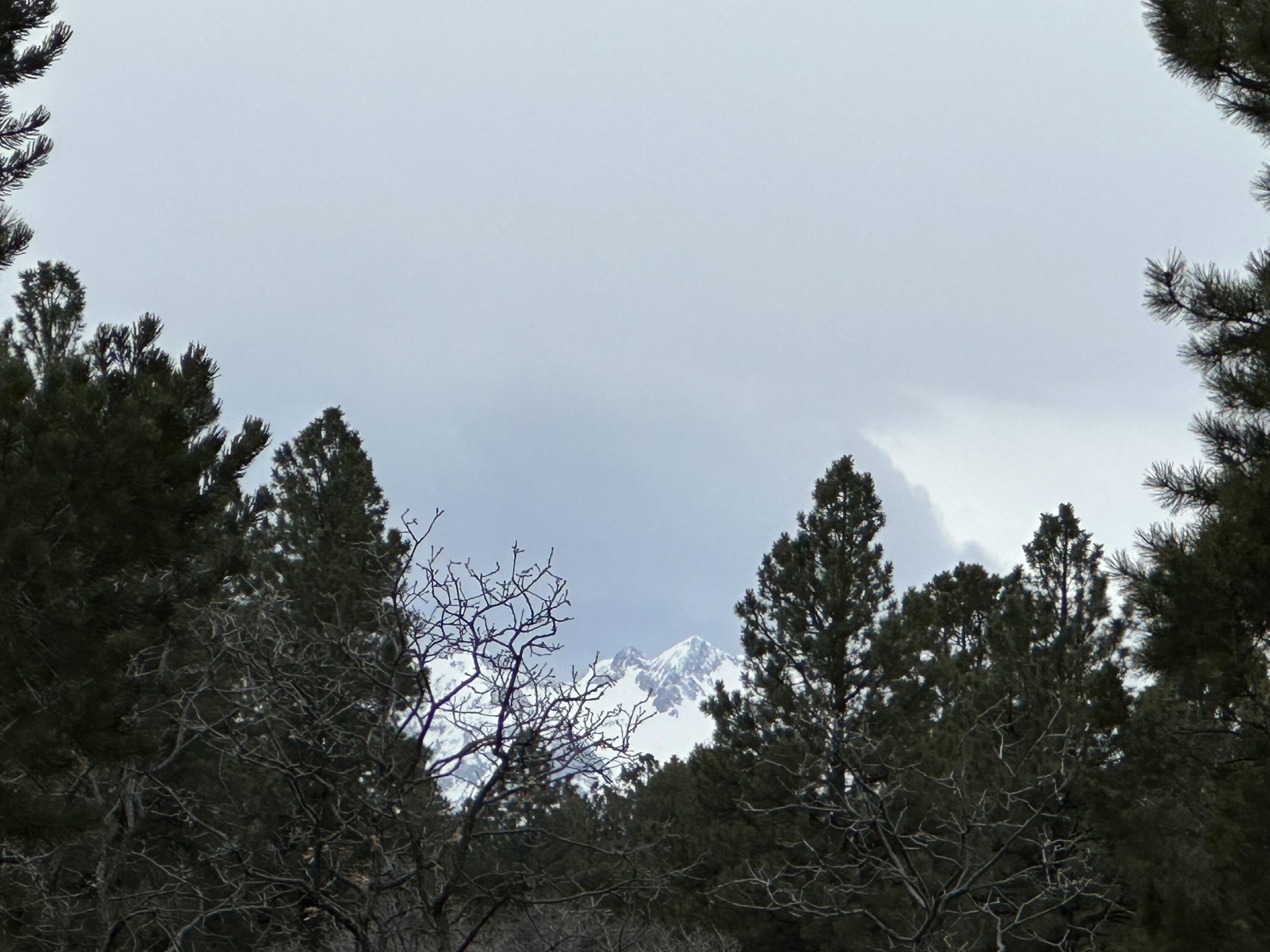 Tbd S Badger Trail Property Photo 2
