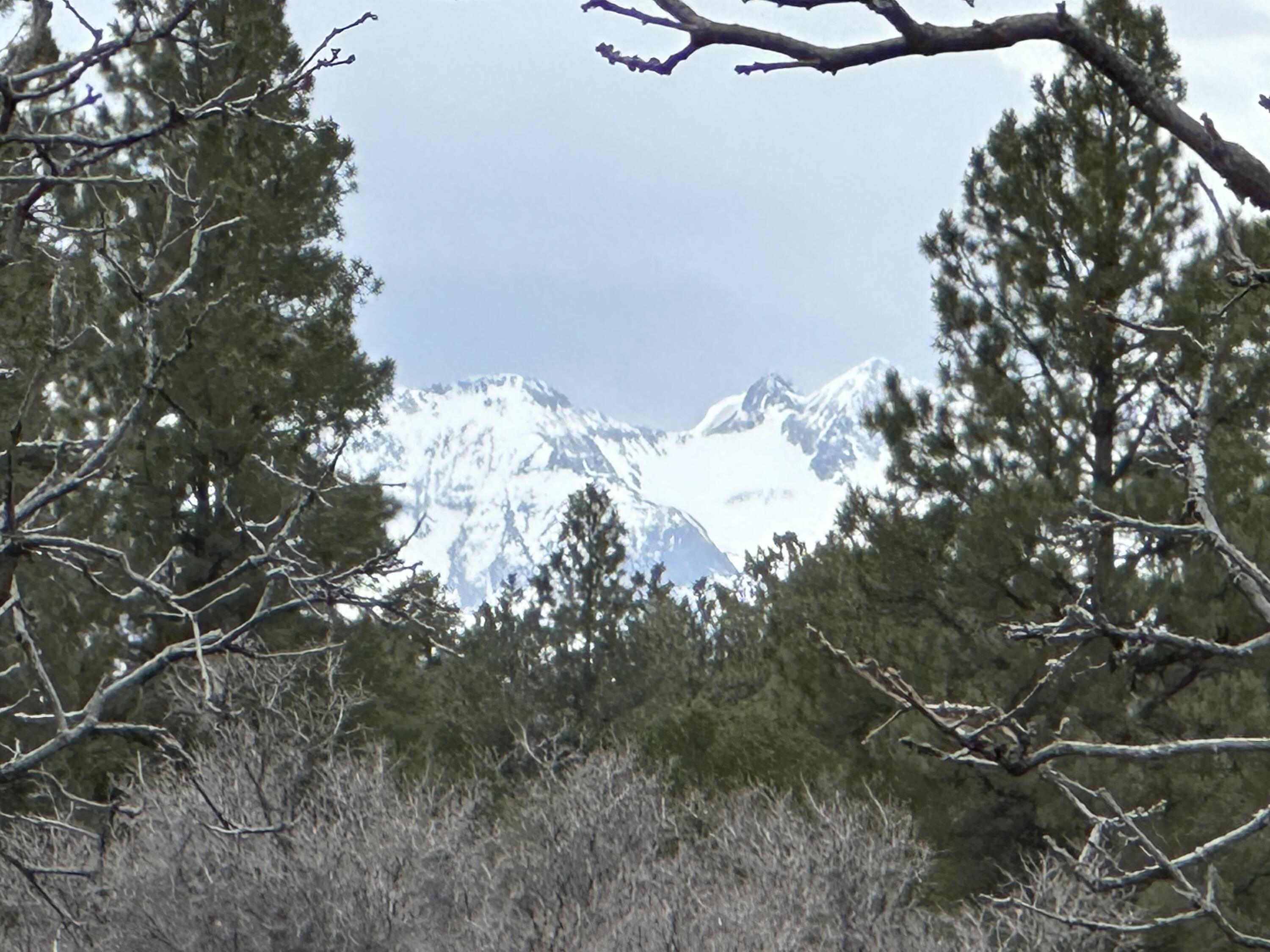 Tbd S Badger Trail Property Photo 3