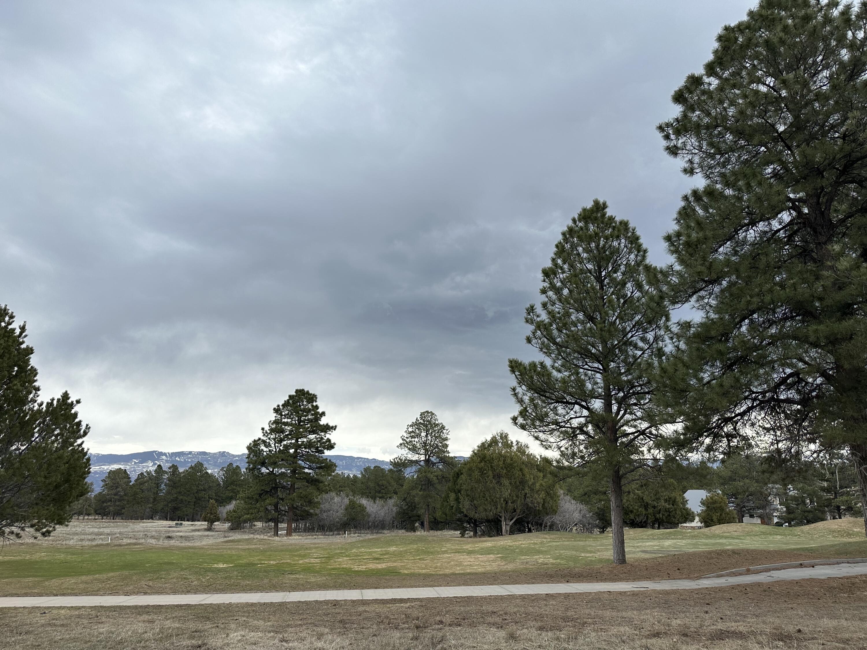 Tbd S Badger Trail Property Photo 4