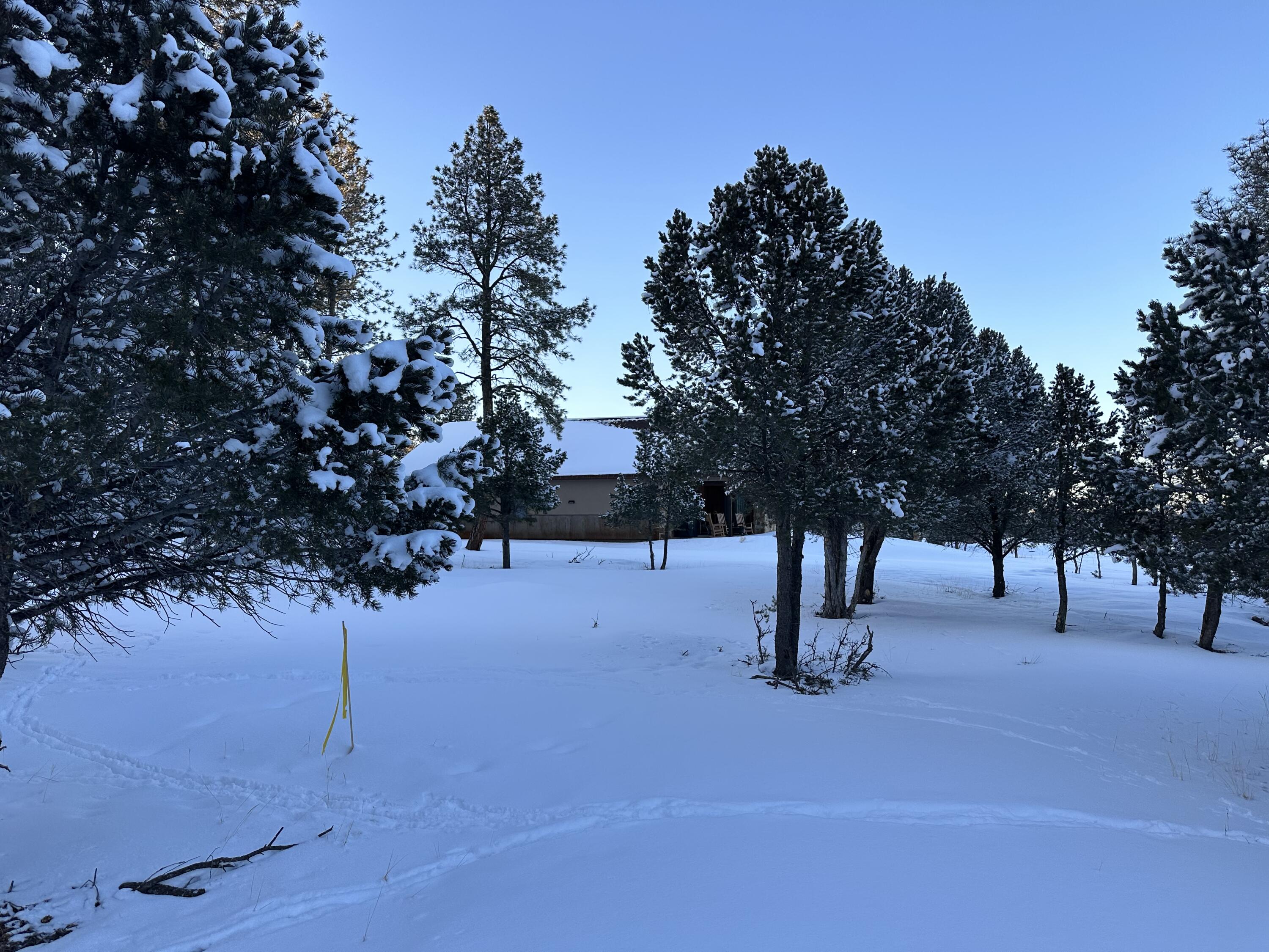 Tbd S Badger Trail Property Photo 5