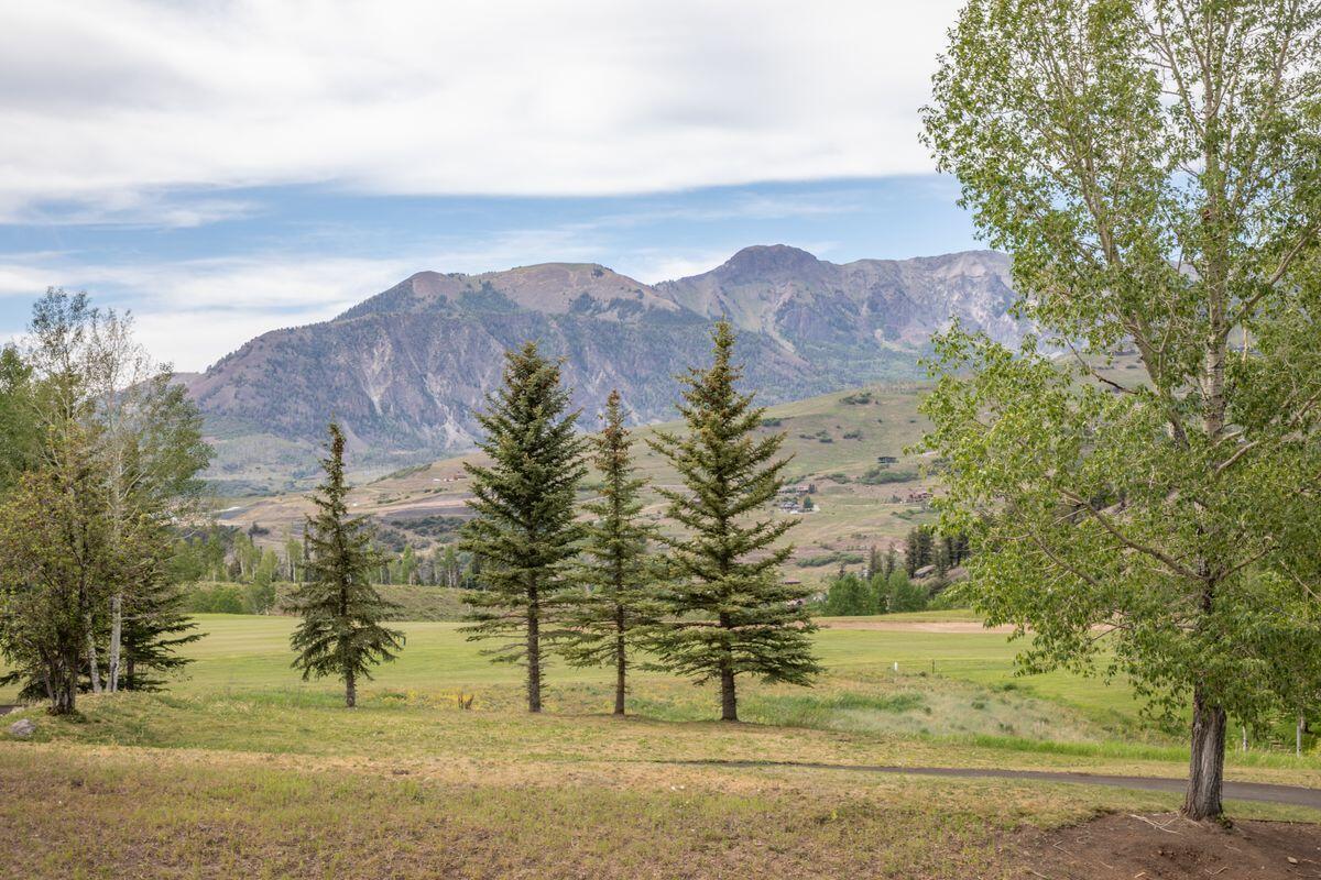 Tbd Adams Ranch Road Property Photo 8