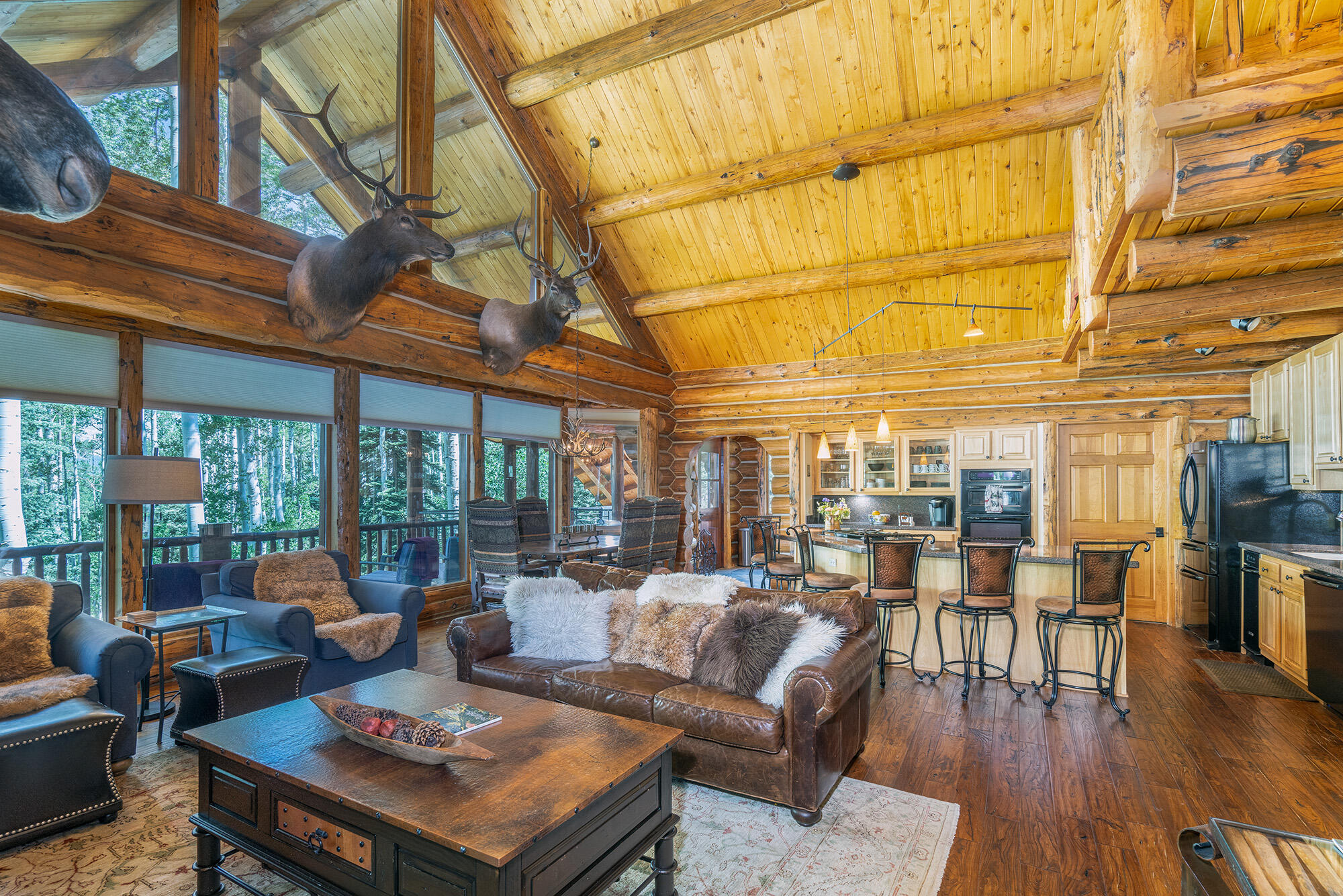 47 High Noon Property Photo 3