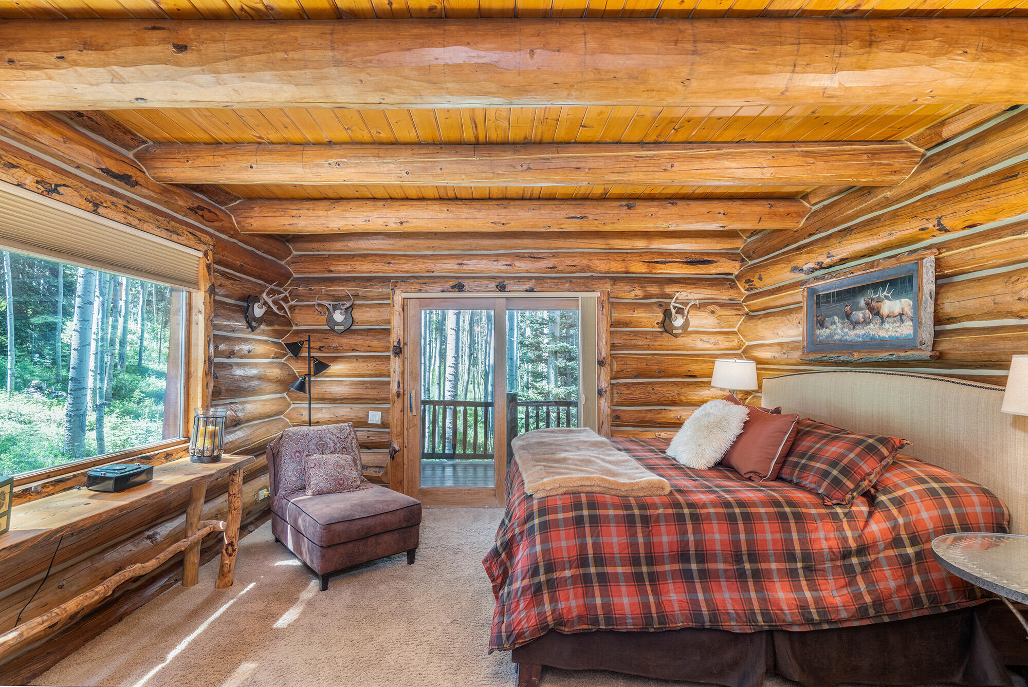 47 High Noon Property Photo 5
