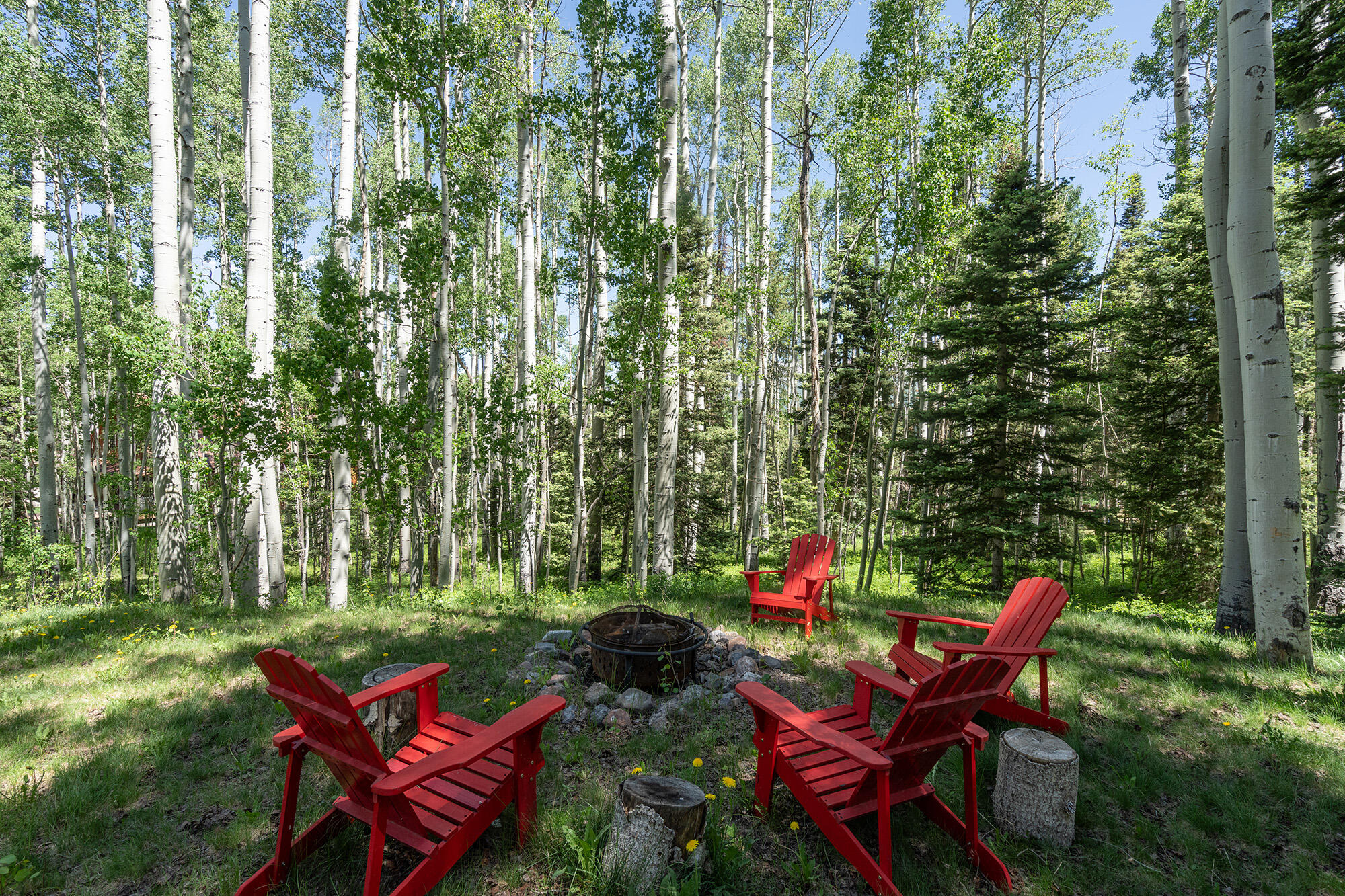 47 High Noon Property Photo 30