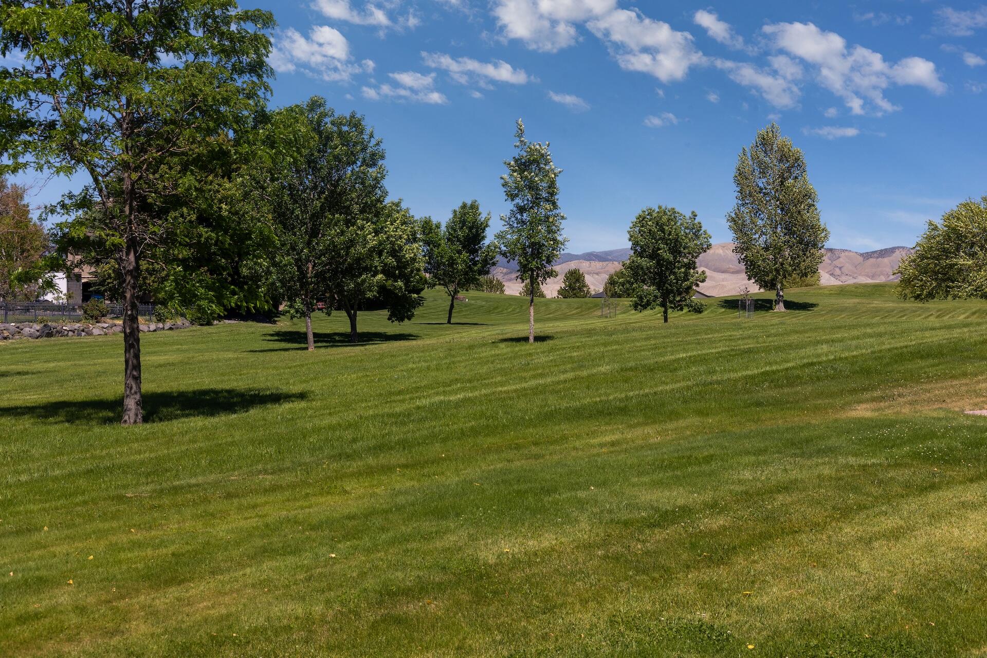 3339 Ivory Court Property Photo 15