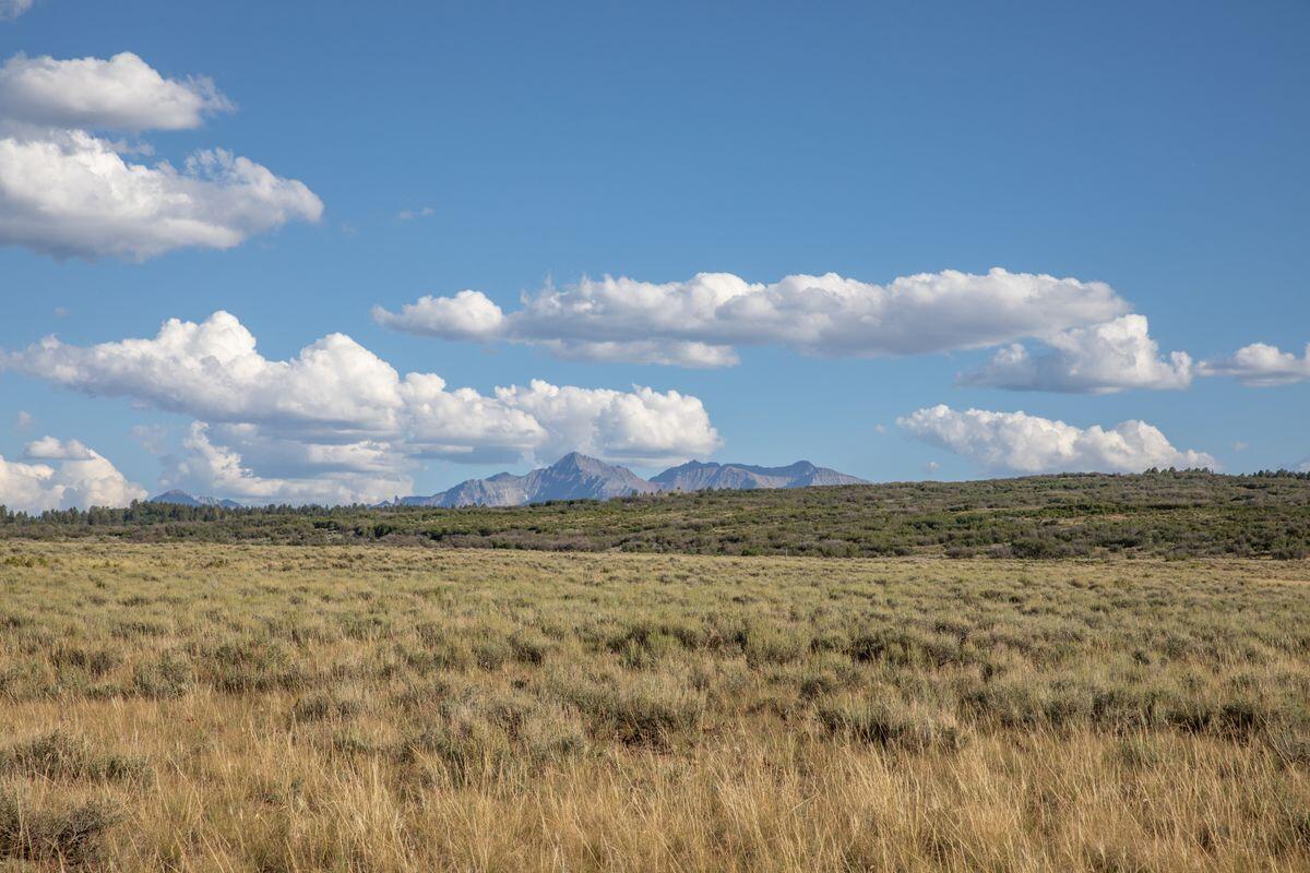 Tbd X48 Road Property Photo 5