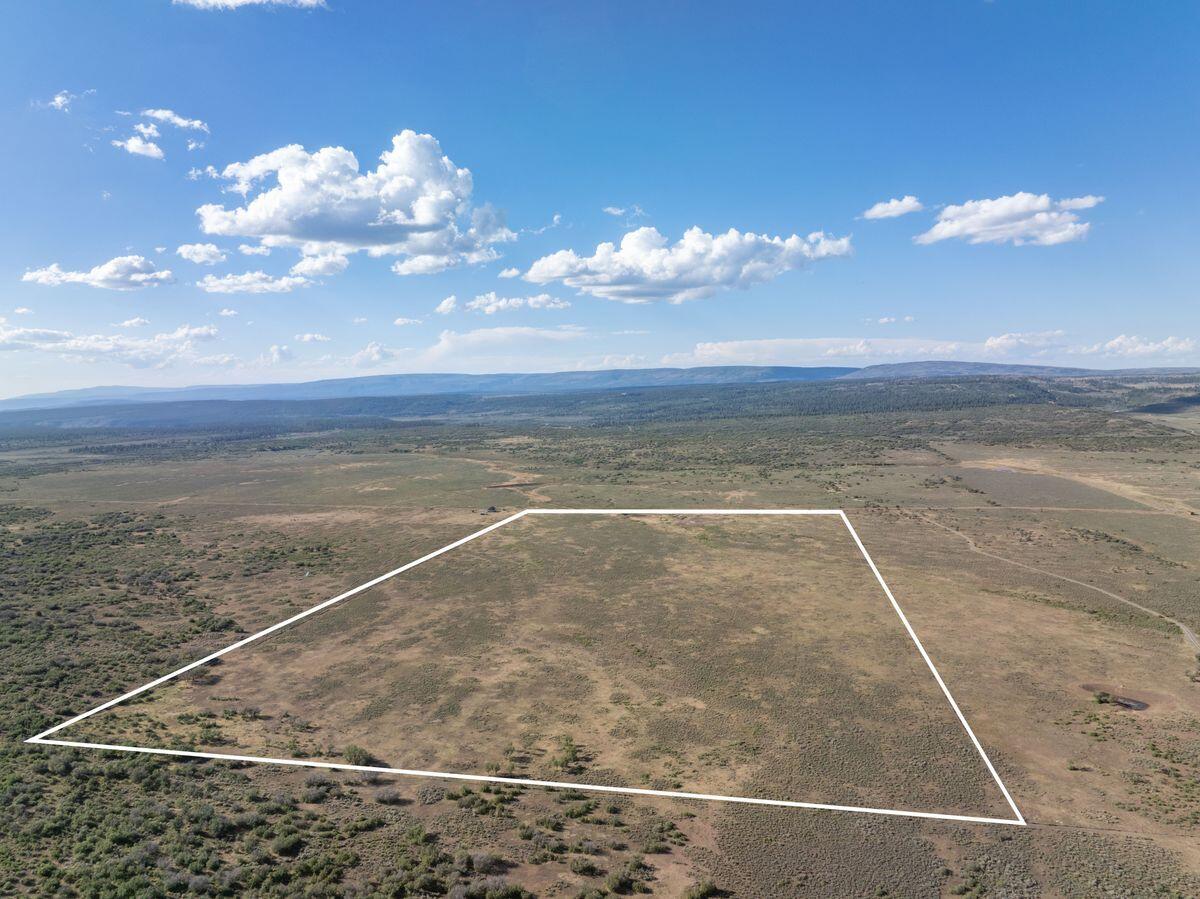 Tbd X48 Road Property Photo 9
