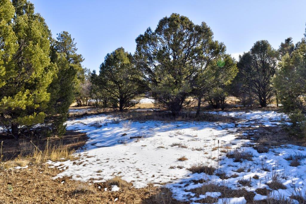 1627 Marmot Drive Property Photo 8