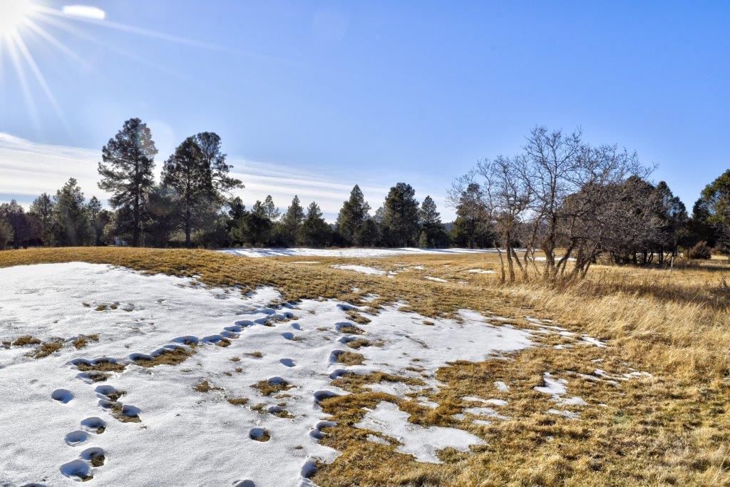 1627 Marmot Drive Property Photo 11