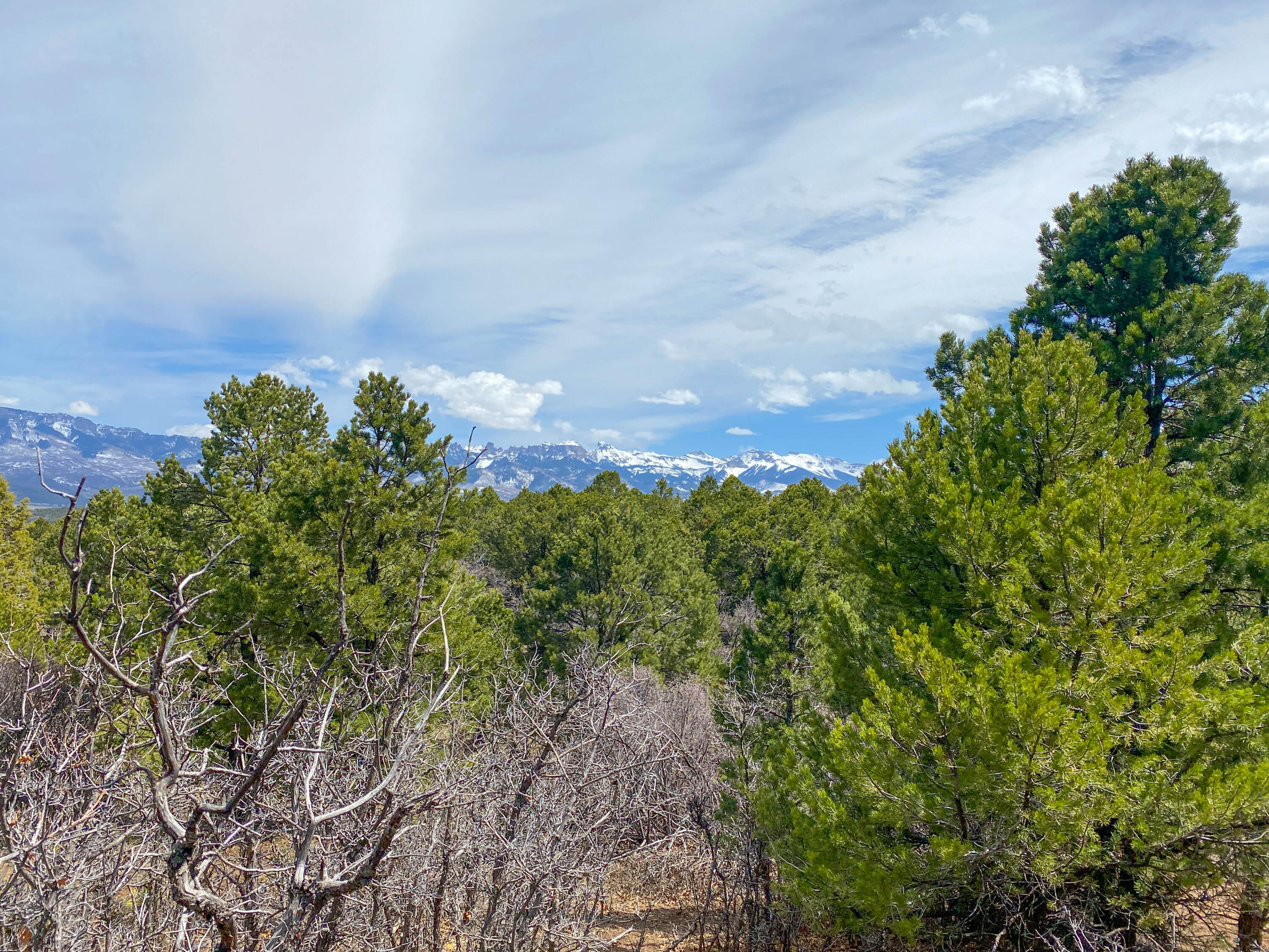 Tbd Pine Drive Property Photo 15
