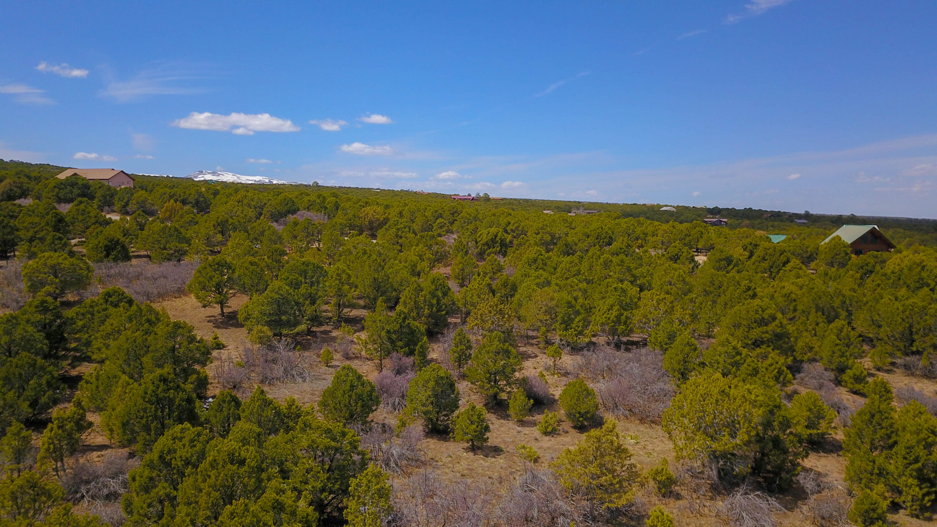 Tbd Pine Drive Property Photo 24