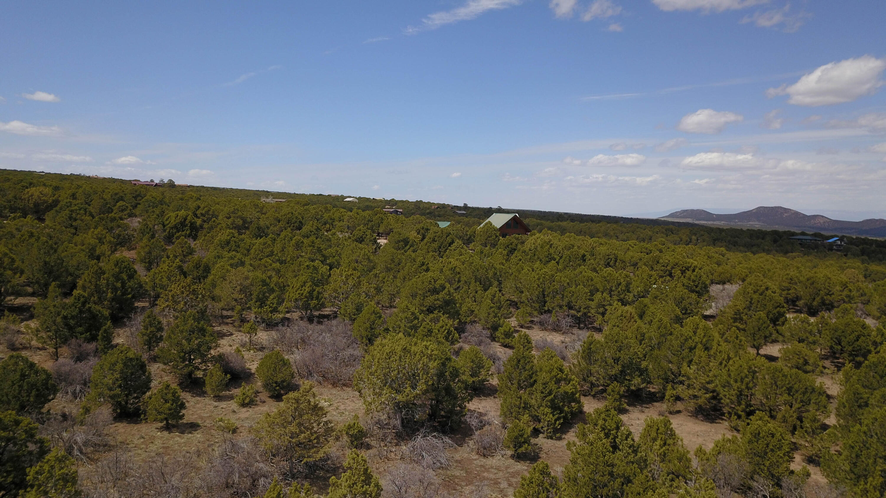 Tbd Pine Drive Property Photo 25