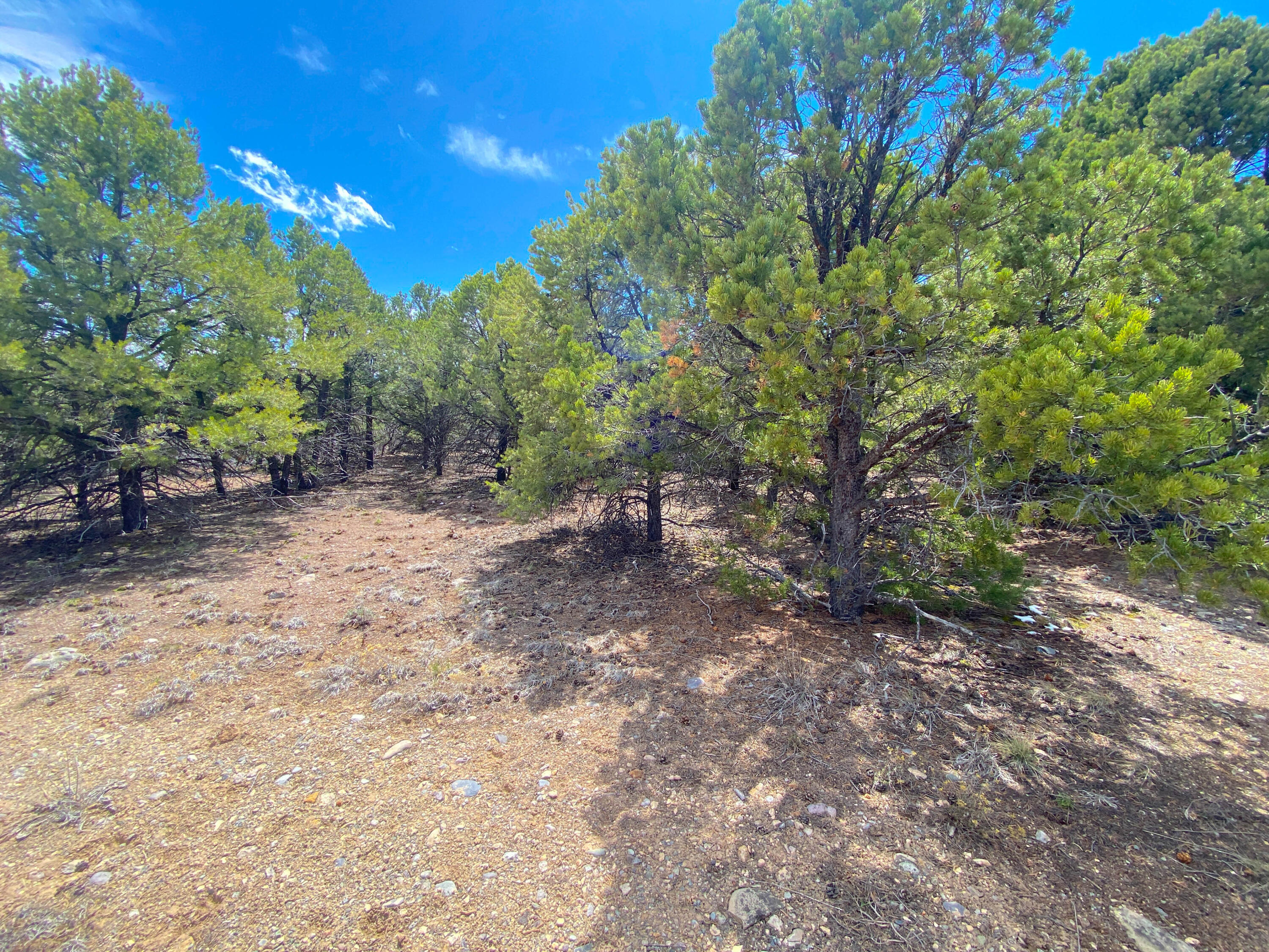 Tbd Pine Drive Property Photo 26