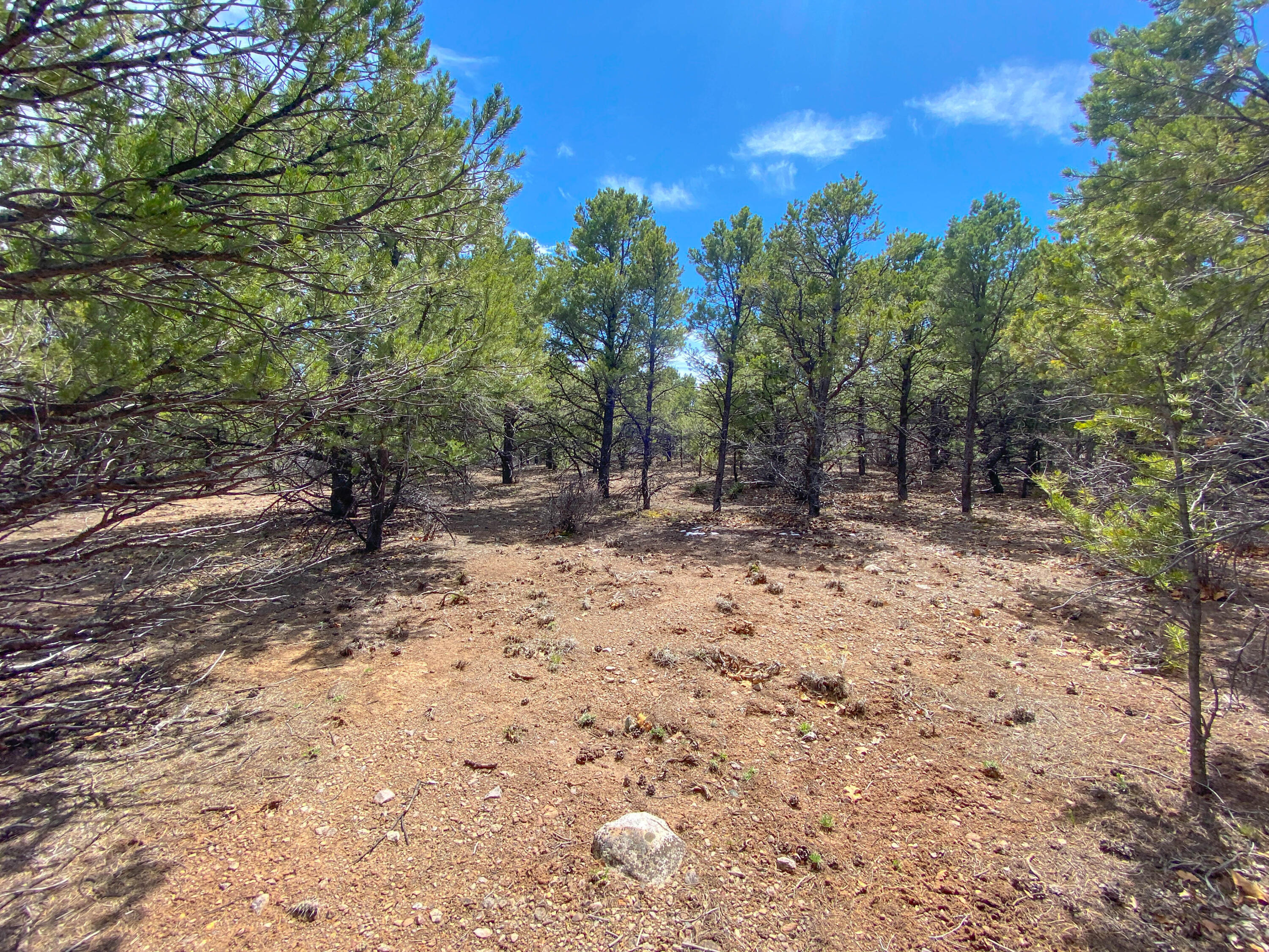 Tbd Pine Drive Property Photo 29