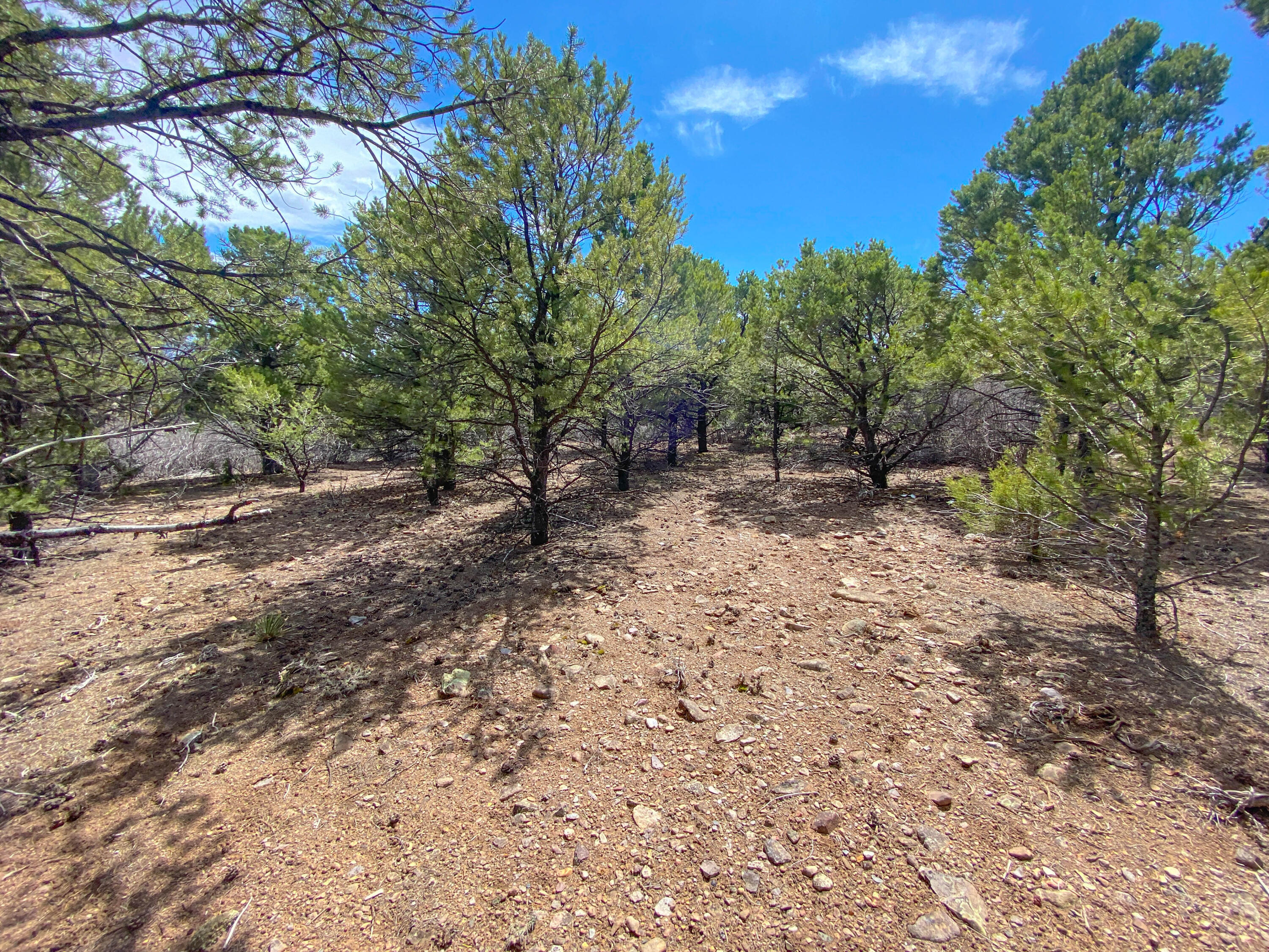 Tbd Pine Drive Property Photo 31