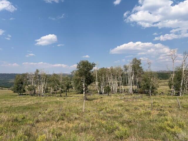 44814 Property Photo 6