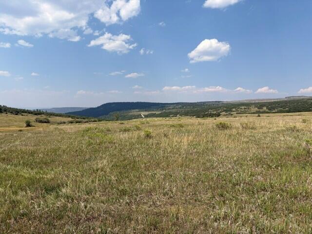 44814 Property Photo 11