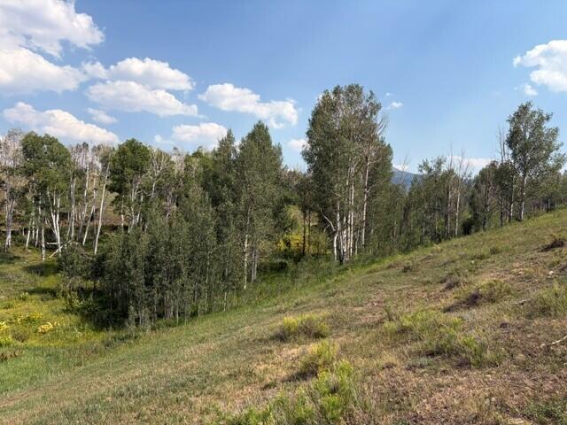 44814 Property Photo 15