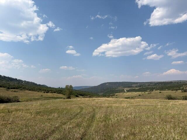 44814 Property Photo 17