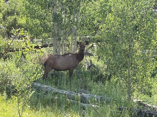 44814 Property Photo 18