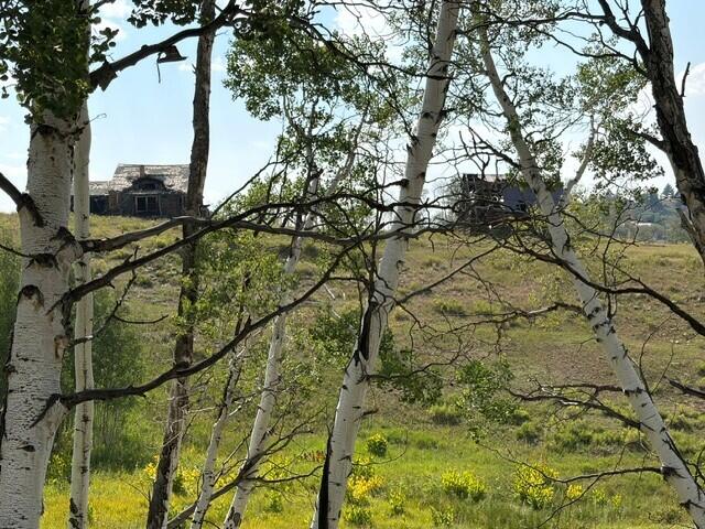44814 Property Photo 21
