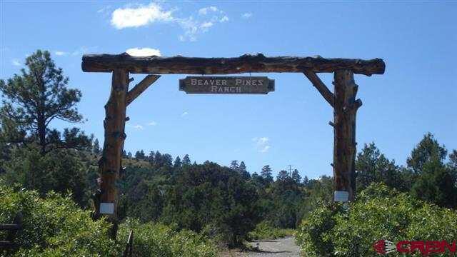 Tbd W Beaver Pines Loop Property Photo 2
