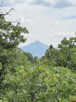 Tbd W Beaver Pines Loop Property Photo 5