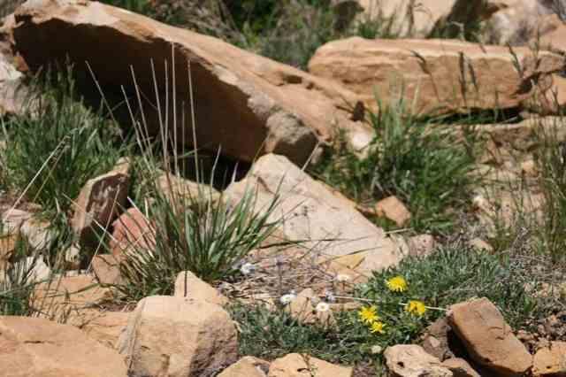 Tbd W Beaver Pines Loop Property Photo 8