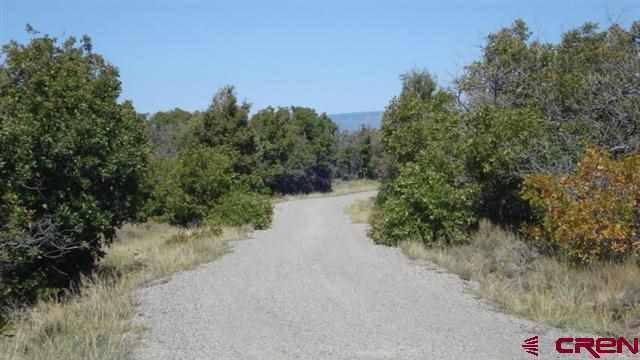 Tbd W Beaver Pines Loop Property Photo 9