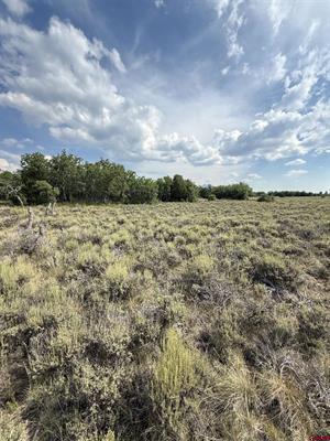 Tbd W Beaver Pines Loop Property Photo 13