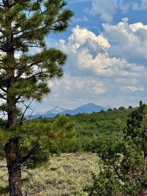 Tbd W Beaver Pines Loop Property Photo 16