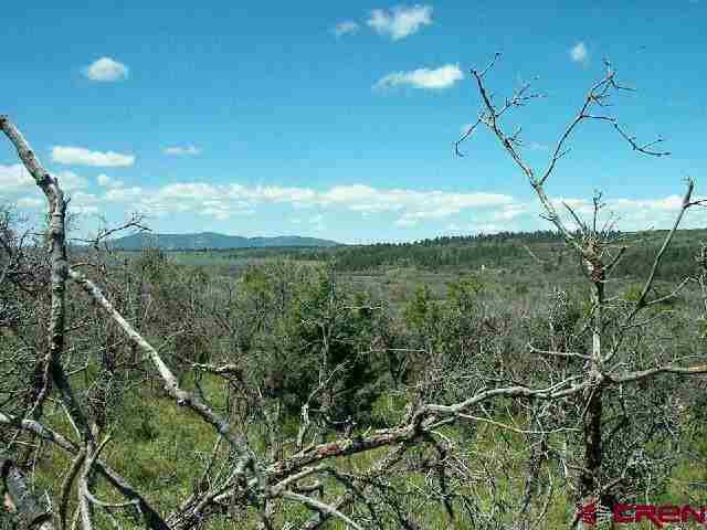 Tbd W Beaver Pines Loop Property Photo 17