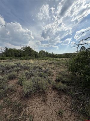 Tbd W Beaver Pines Loop Property Photo 19