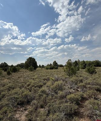 Tbd W Beaver Pines Loop Property Photo 20