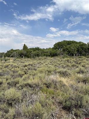 Tbd W Beaver Pines Loop Property Photo 21