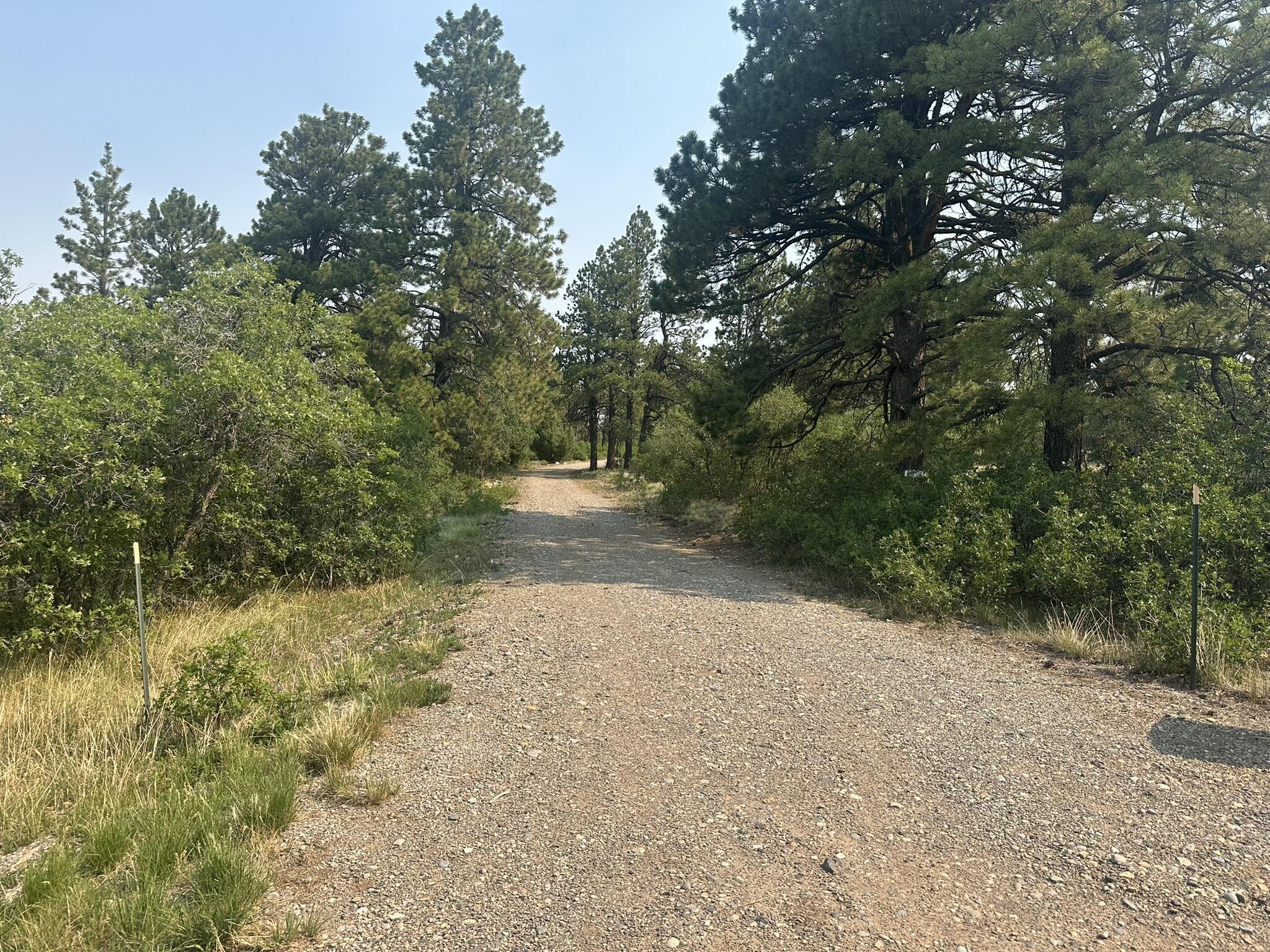 135 Canyon Rim Loop Property Photo 1