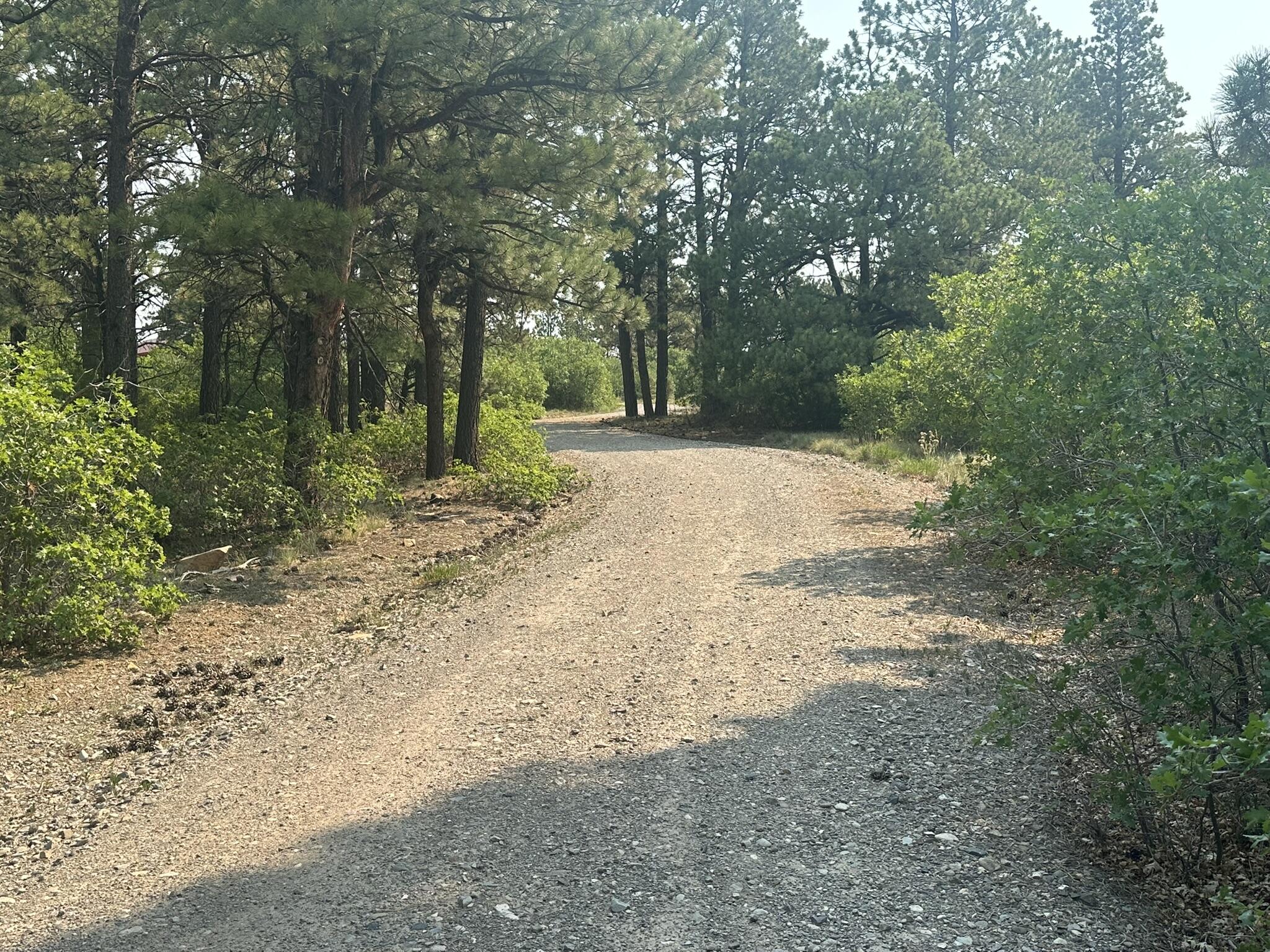 135 Canyon Rim Loop Property Photo 2
