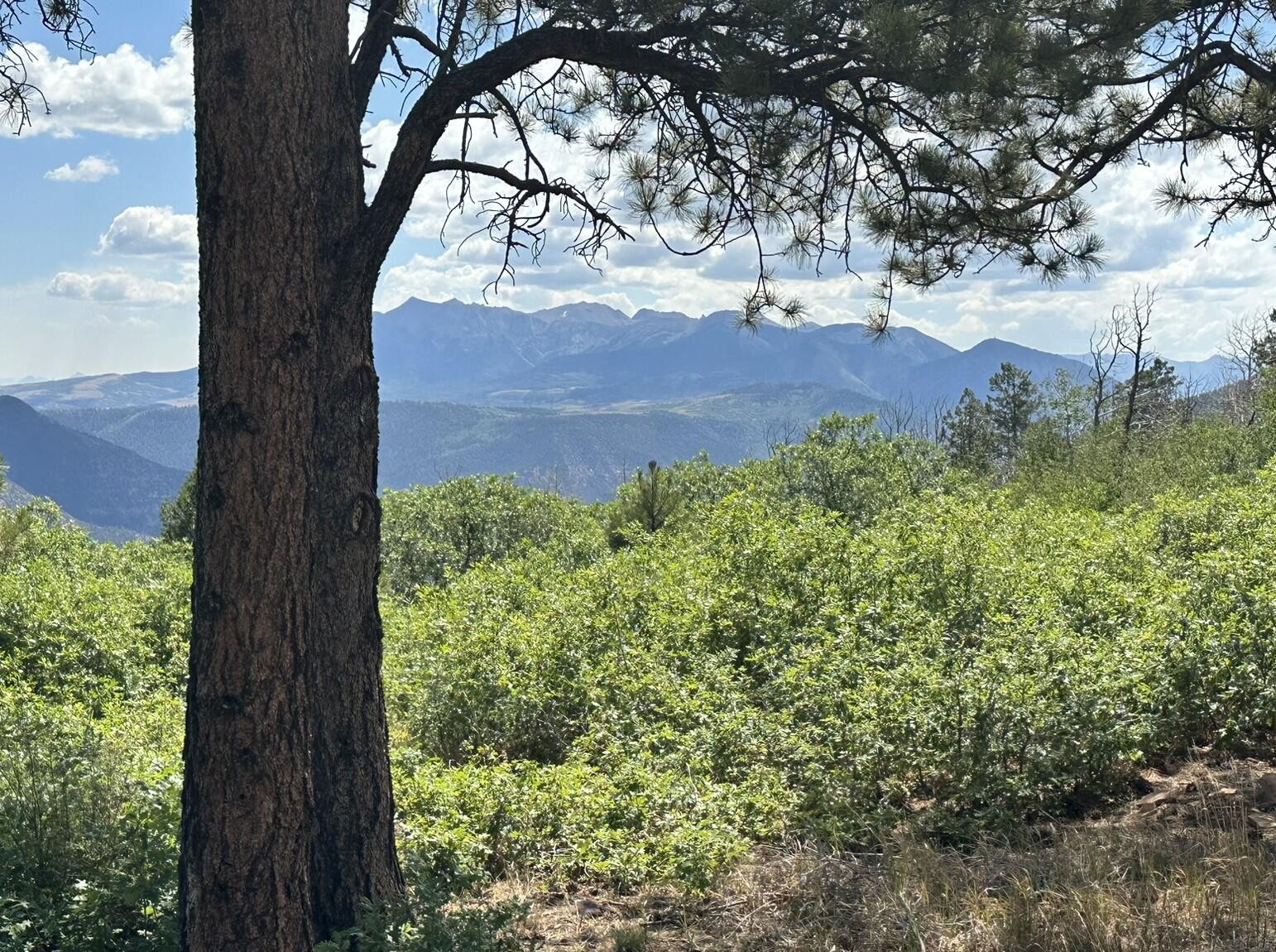 135 Canyon Rim Loop Property Photo 46