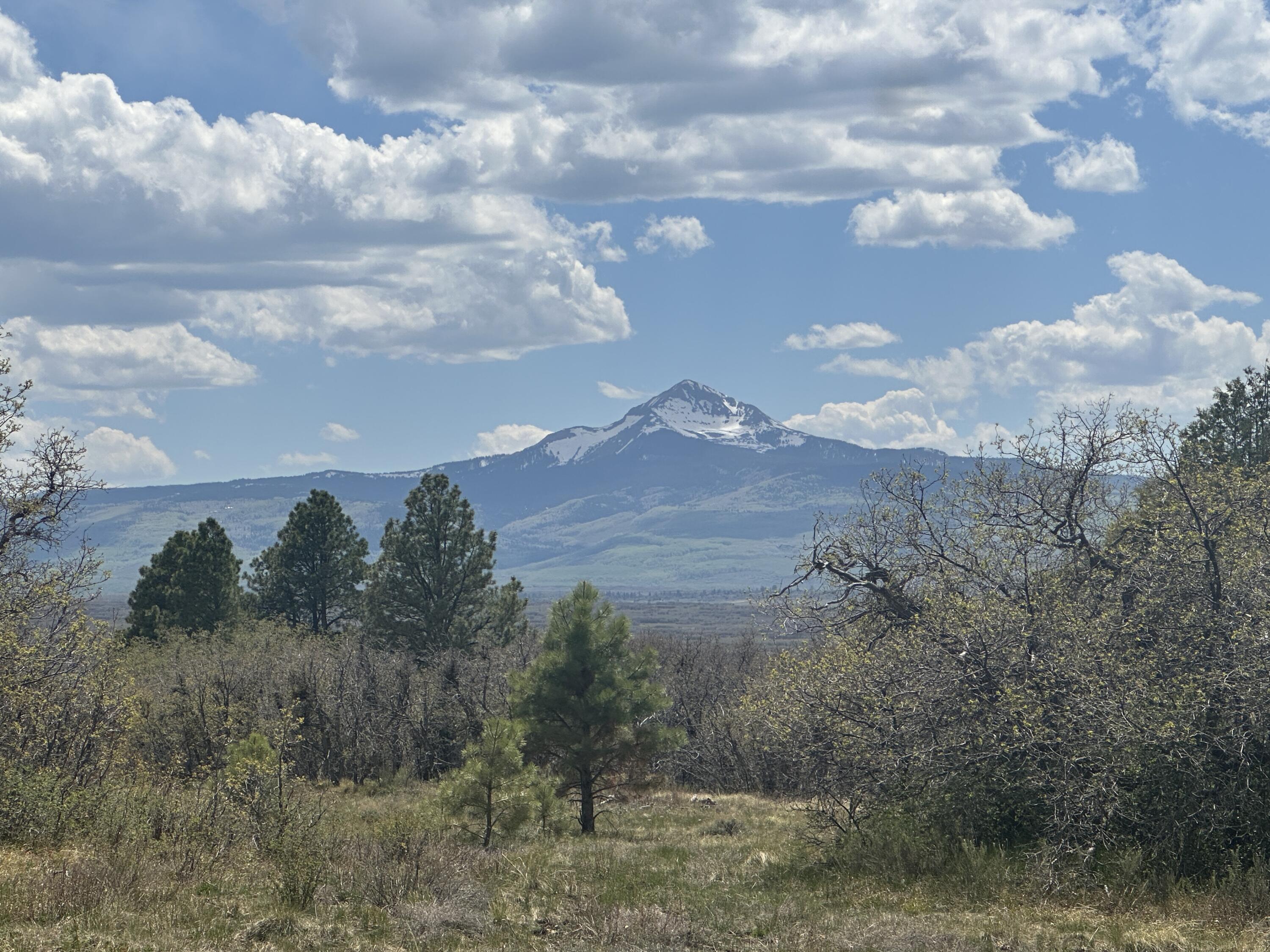 135 Canyon Rim Loop Property Photo 49