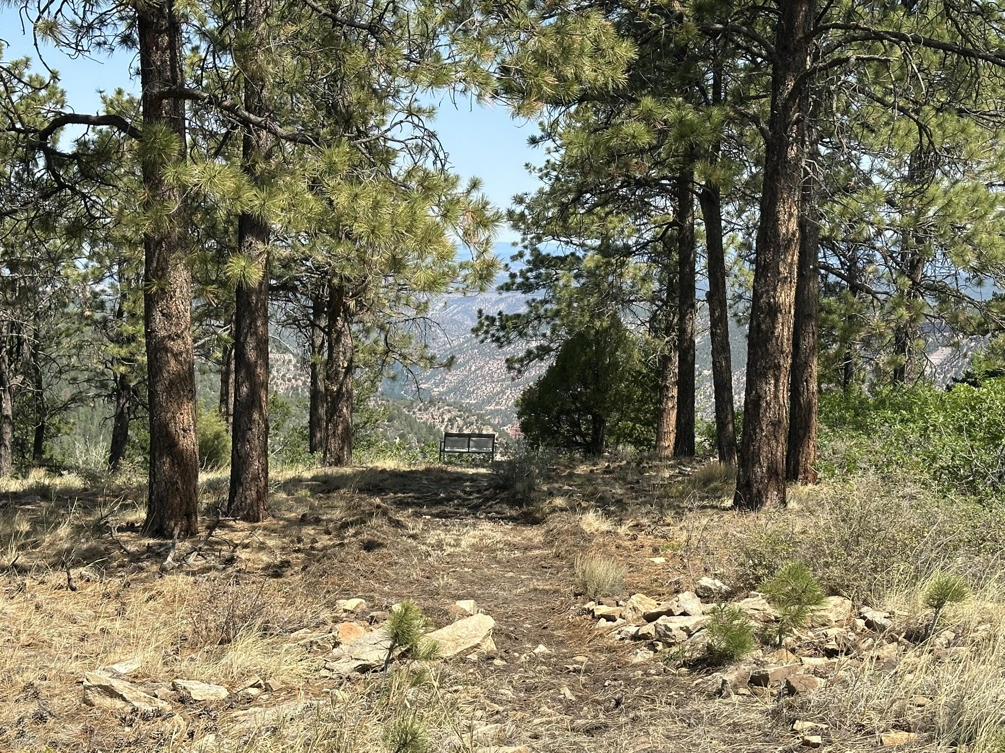 135 Canyon Rim Loop Property Photo 51