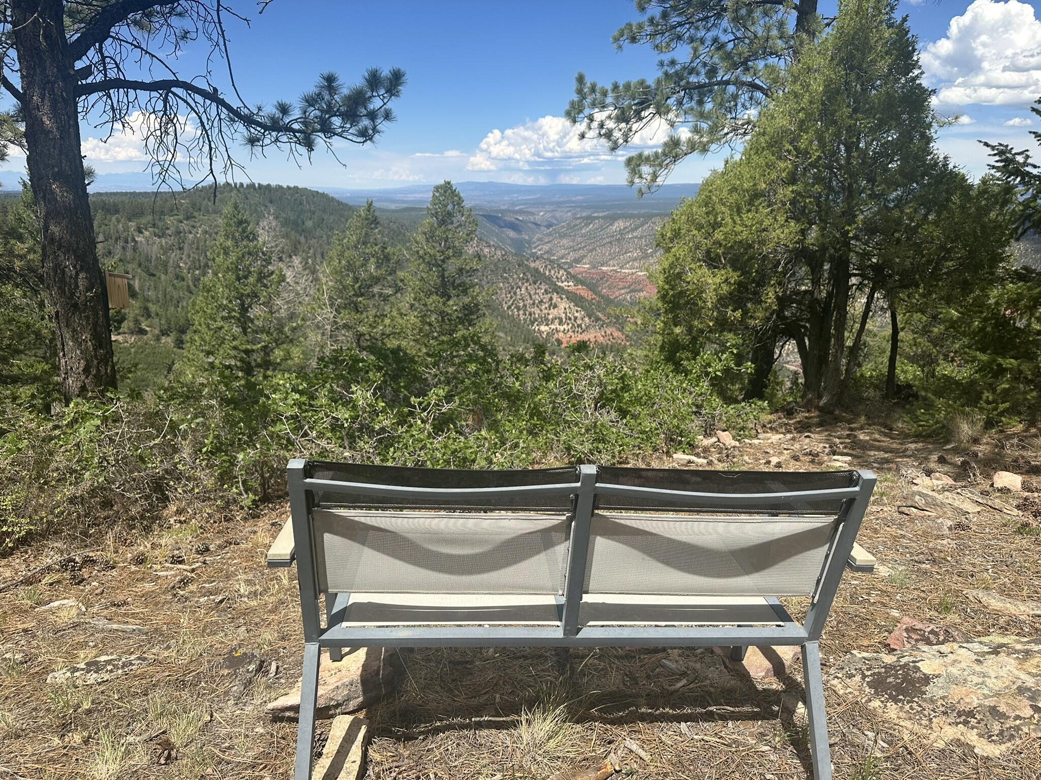 135 Canyon Rim Loop Property Photo 52