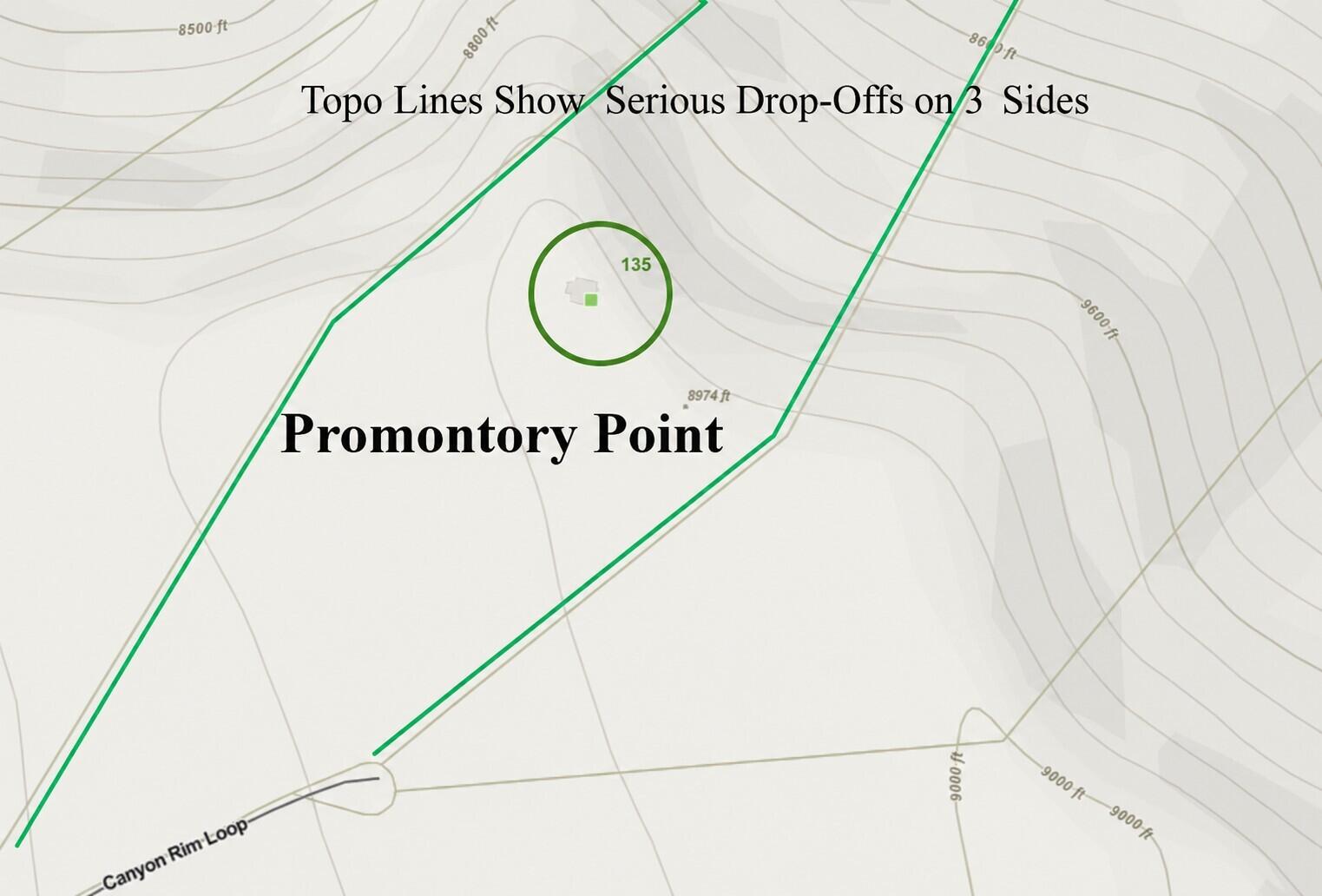 135 Canyon Rim Loop Property Photo 57