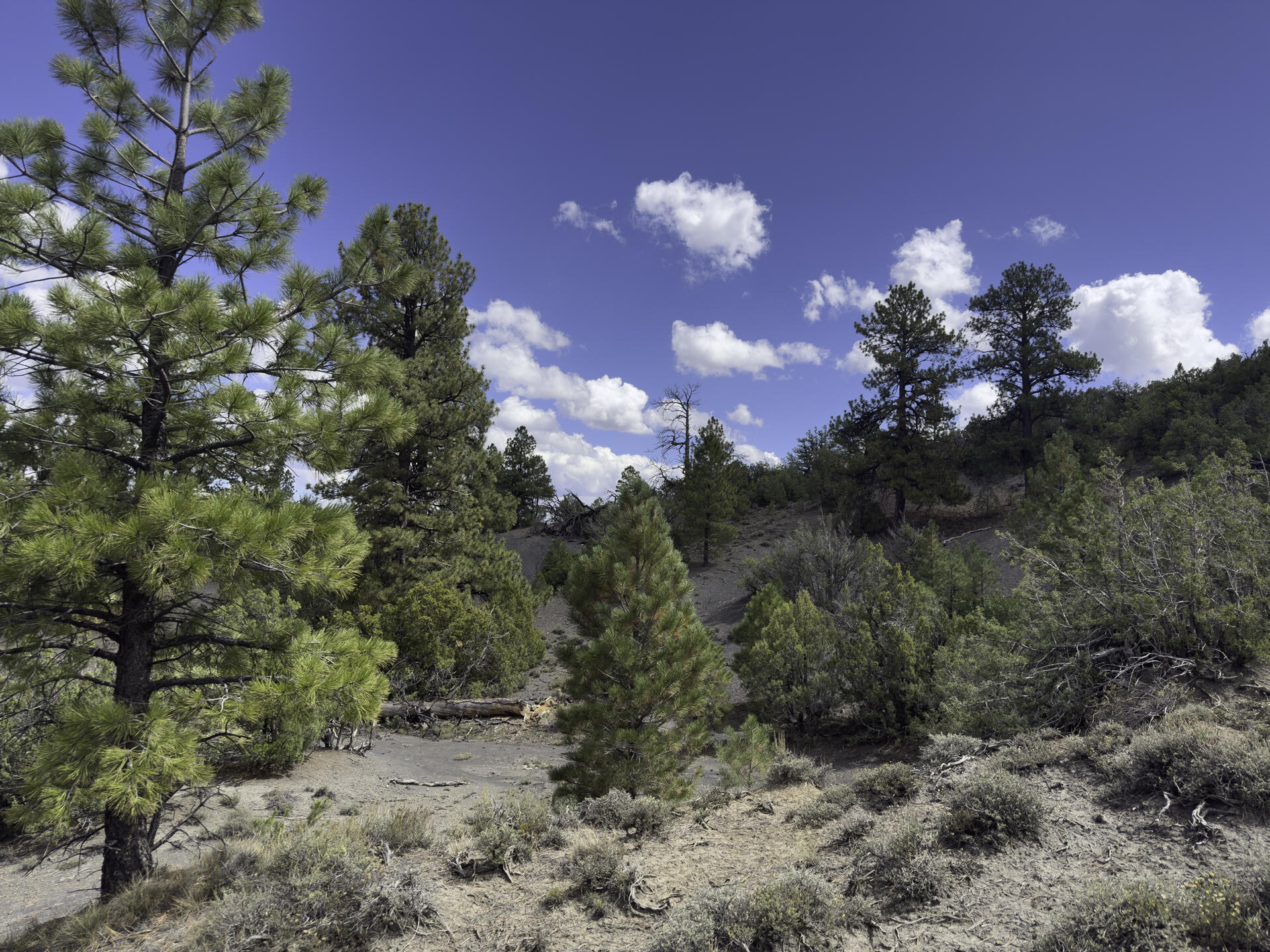 Tbd 31u Property Photo 5