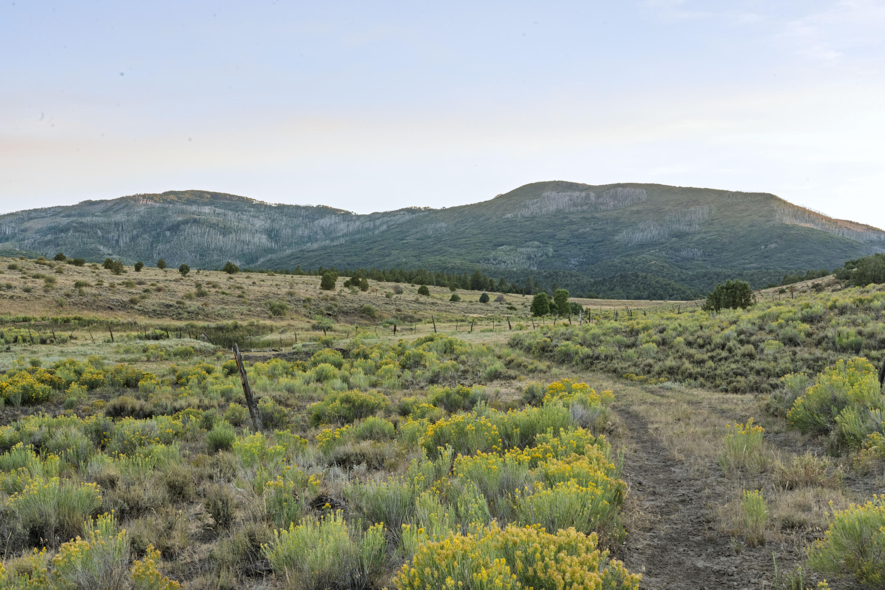 Tbd 31u Property Photo 7