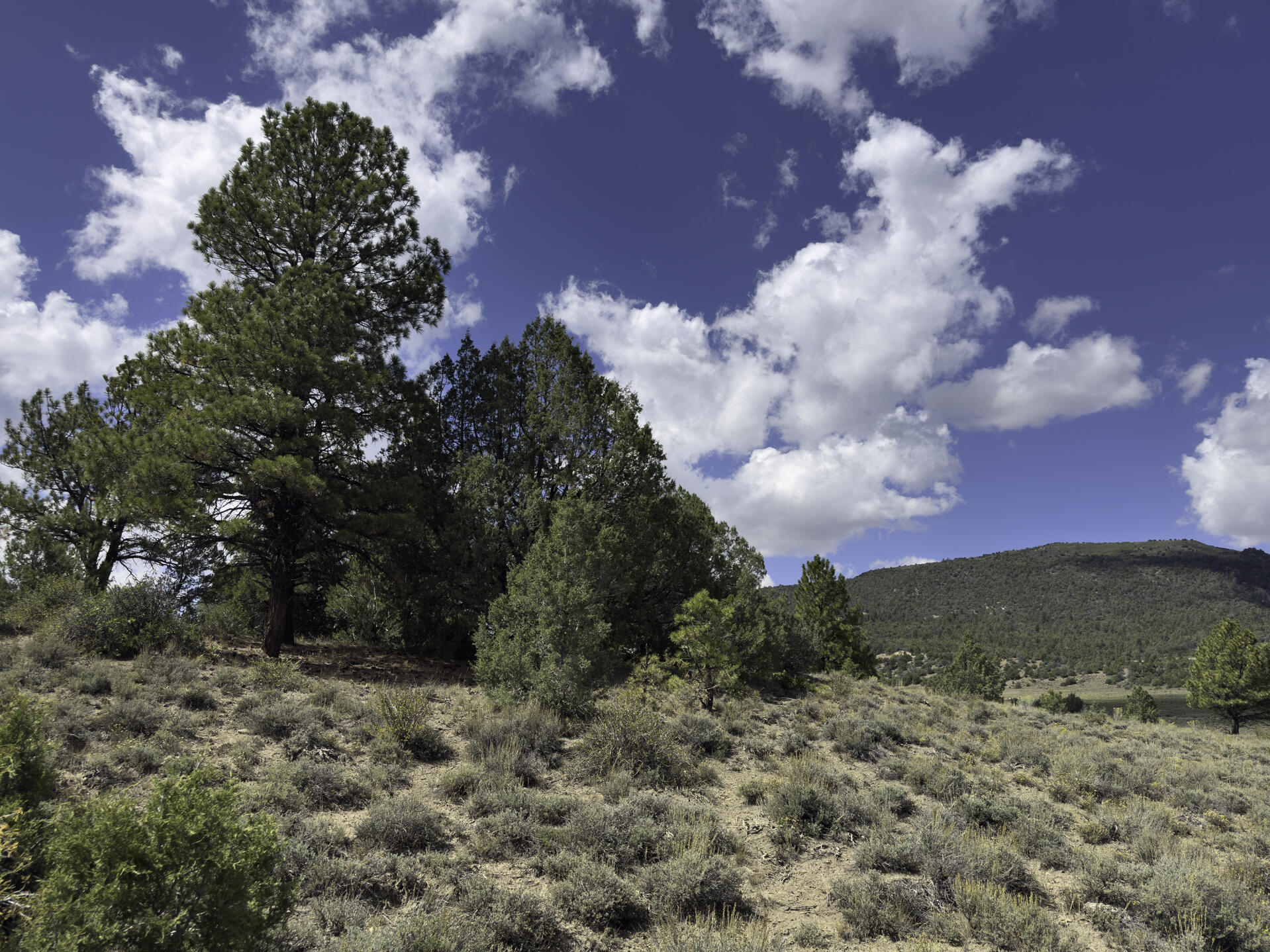 Tbd 31u Property Photo 7