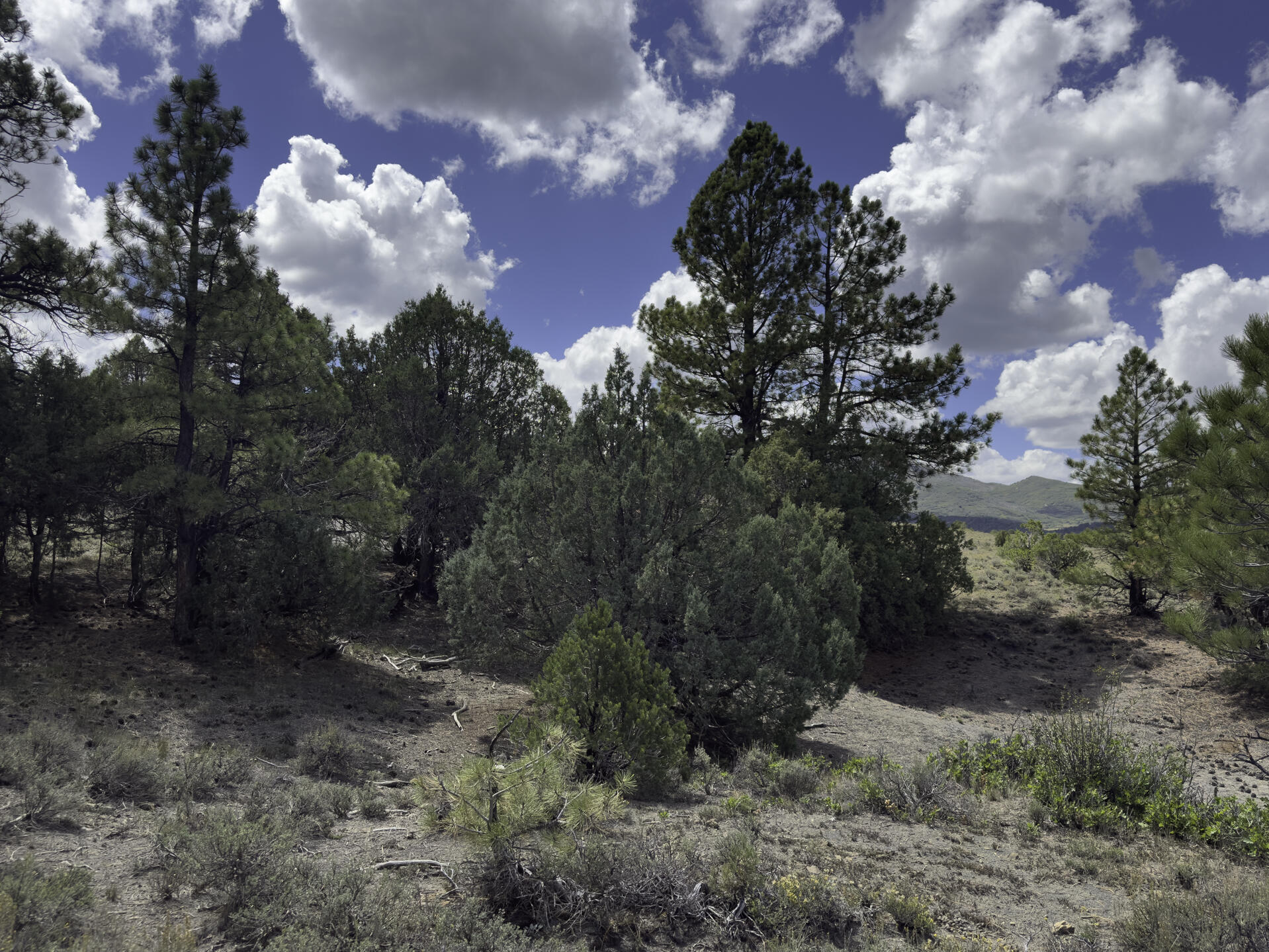 Tbd 31u Property Photo 9