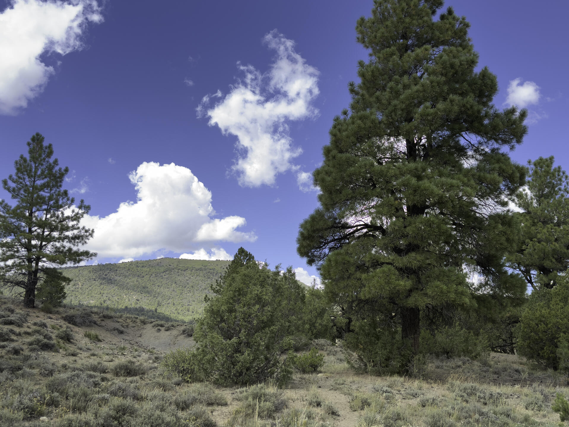 Tbd 31u Property Photo 11