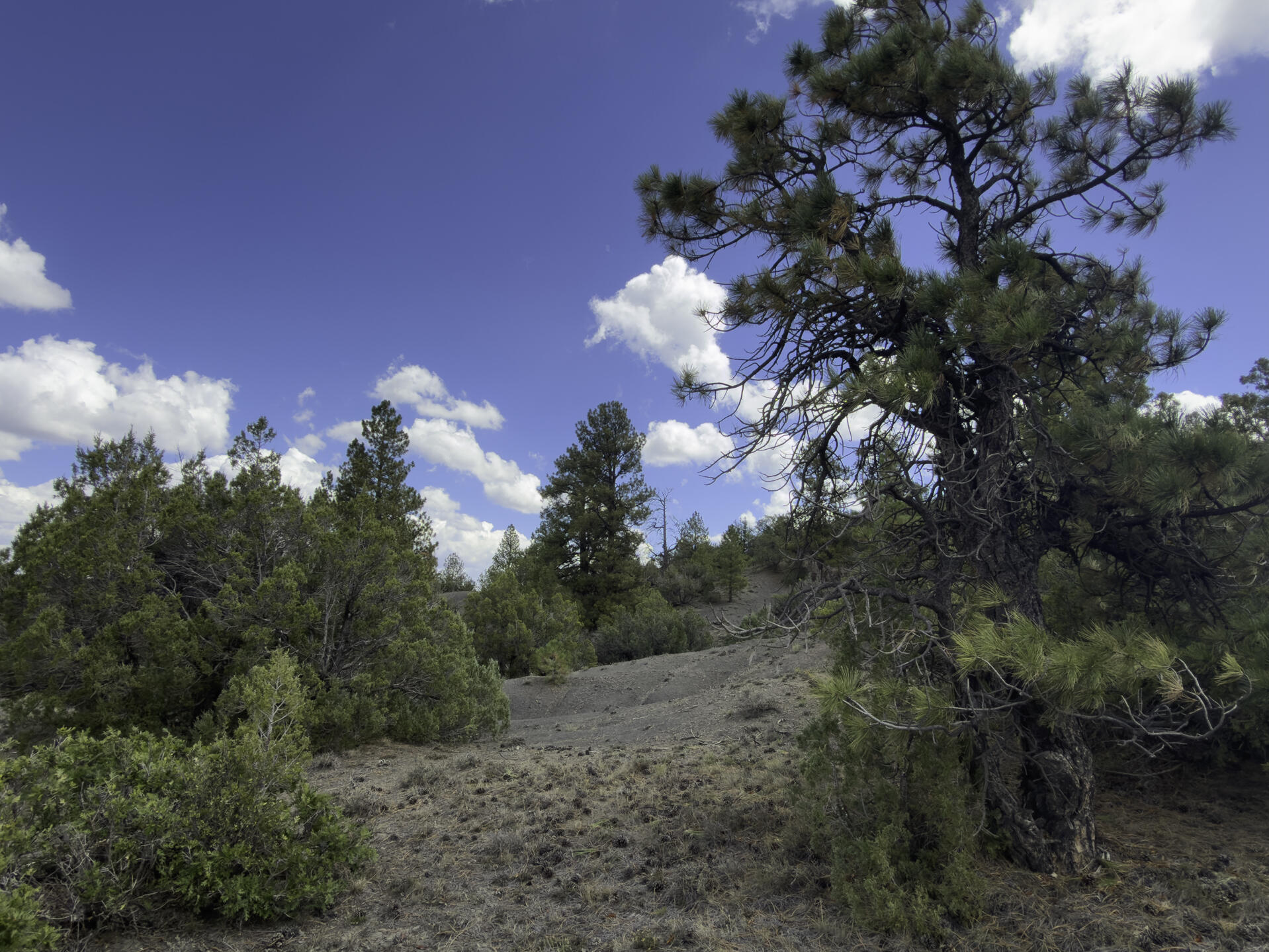 Tbd 31u Property Photo 12