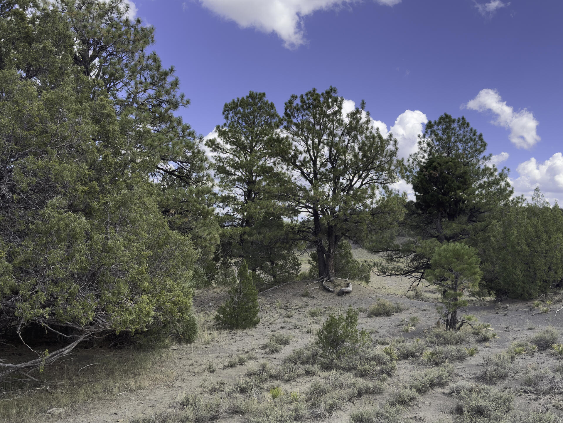 Tbd 31u Property Photo 21