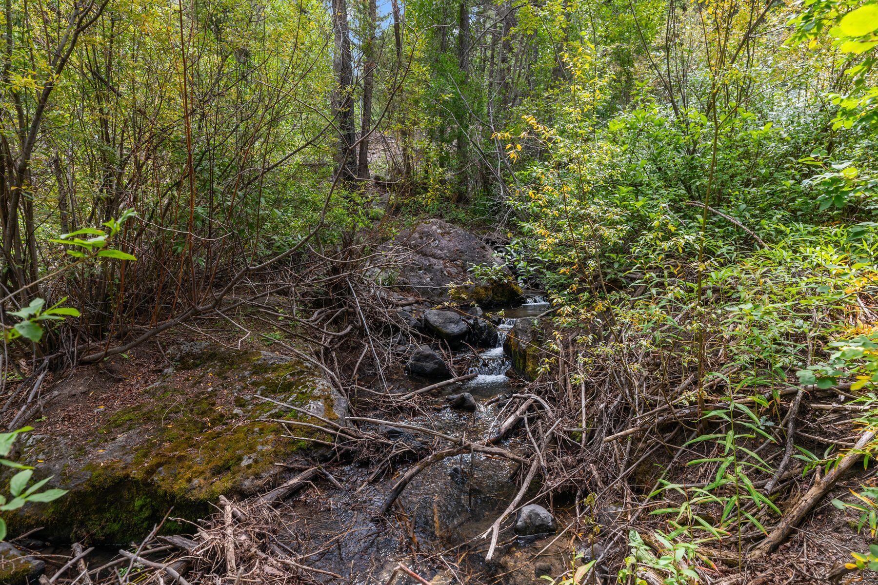 92 Lake Fork Junction Road Property Photo 27